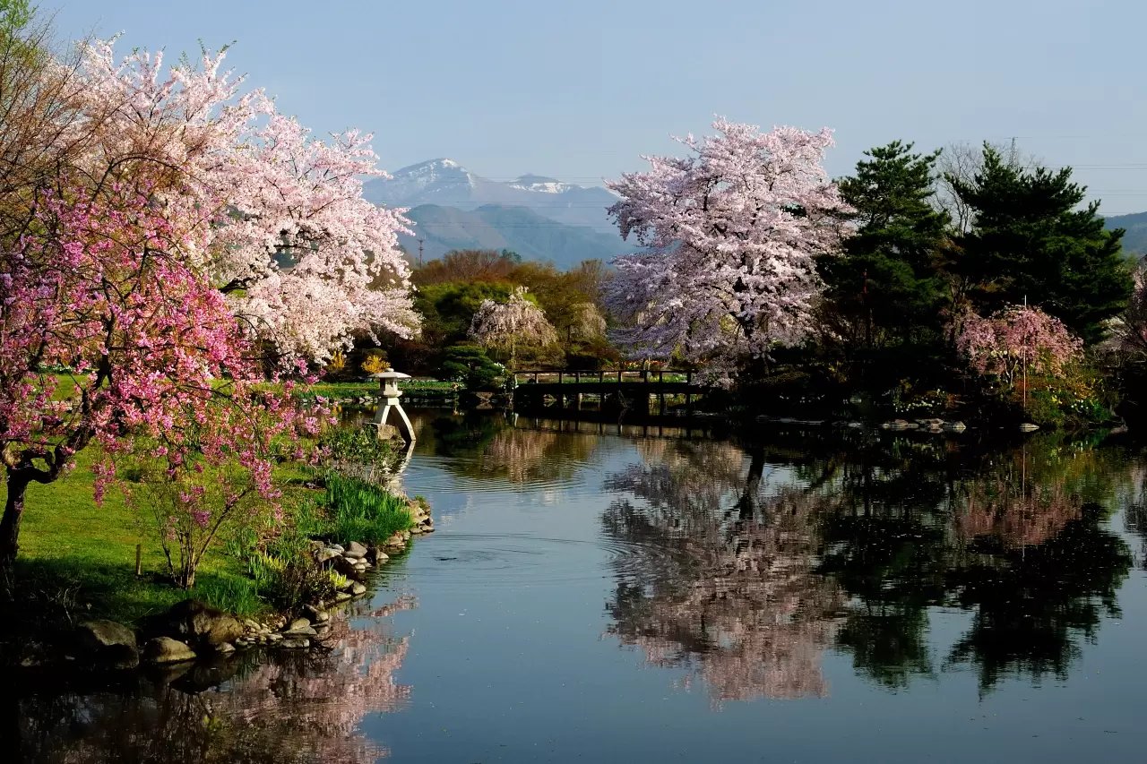🌸 사계절 마을 공원(시키노사토 코엔) 이미지 5